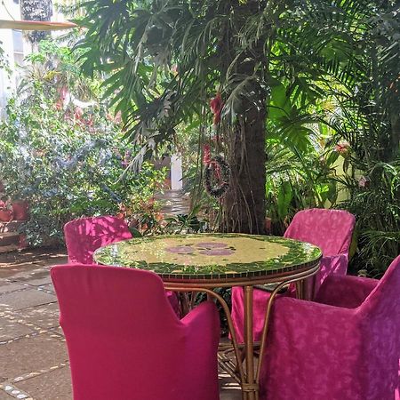 Michele'S Garden Bed & Breakfast Anjuna Dış mekan fotoğraf
